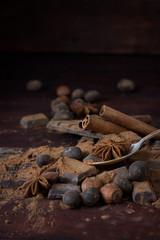 Chocolate, Spices, Spoon with Cocoa, Hazelnut on Dark Wooden Background. Copy space