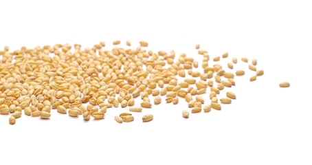 Wheat grains, pile isolated on white background