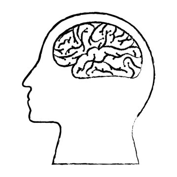 human profile brain artificial intelligence circuit vector illustration