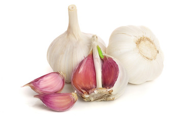 garlic isolated on white background close up