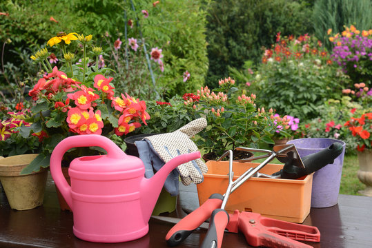 Garten 783