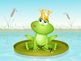 Obraz premium funny frog on waterlily