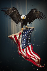 Fototapeta premium Amerykański Bielik latający z flagą.