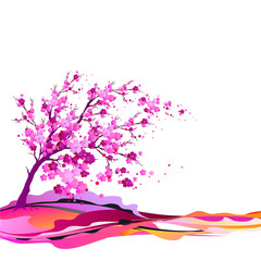 pink flowers tree, spring blossom,  on a white