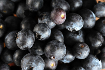 Juicy and fresh blueberry berries form the background of the frame. View from above. Close-up. Macro photography.
