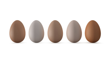 Five chicken egg on white background, 3d rendering