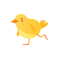 Cute baby chicken walking, funny cartoon bird character vector Illustration on a white background