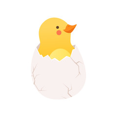 Cute baby chicken hatching, funny cartoon bird character sitting in egg shell vector Illustration on a white background