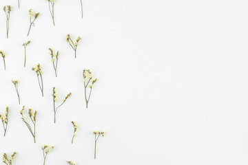 Yellow limonium caspia flowers pattern on white background with copy space