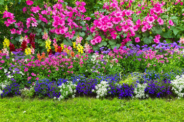 Flower bed with different flowers