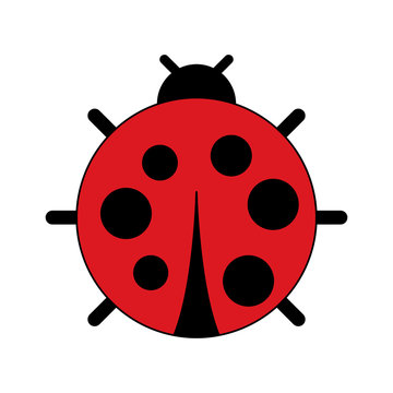 cute ladybug dotted animal insect wildlife vector illustration