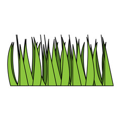 green grass frond natural foliage icon vector illustration