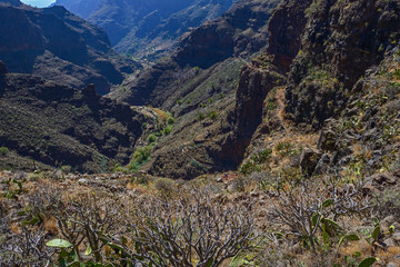 Spain Gomera island Barranco de Guarimiar