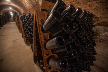 Interior of cellar with bottles of old bottles of champagne