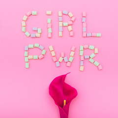inscription GIRL PWR  laid out by marshmallow with lily flower on pink background. creative concept.  minimal. flat lay. symbolism