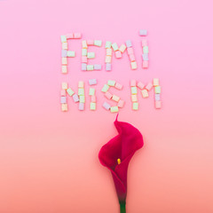 inscription Feminism  laid out by marshmallow with lily flower. pink and orange gradient colors creative concept.  minimal. symbolism