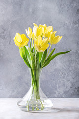 Bouquet of yellow tulips with leaves in glass vase over grey texture background. Still life. Spring greeting card