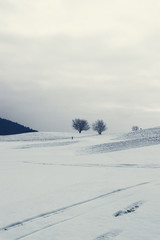 Winter landscape for skiing on a cloudy day