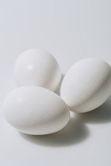 white eggs laying on white background