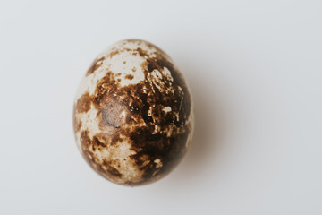 quail egg laying on white background