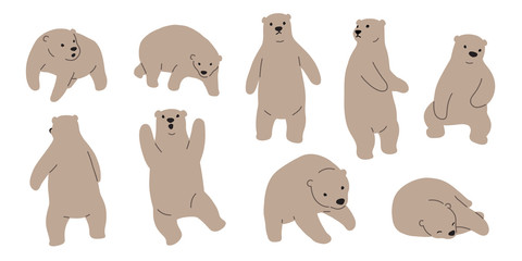 Bear vector Polar Bear doodle illustration character cartoon brown
