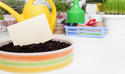 Care of domestic plants. Business card.