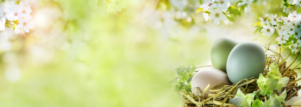 Easter eggs with sunny spring background