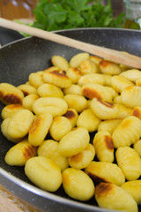 gnocchi