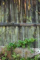 Fototapeta premium wooden deck.