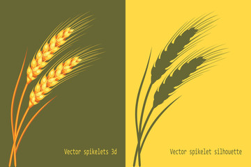 Vector wheat in 3d and silhouette on green and yellow background isolated. Vector.