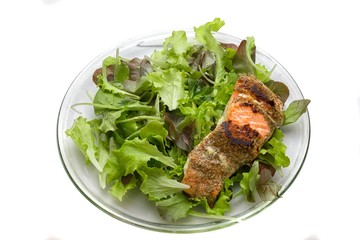 Grilled salmon on salad