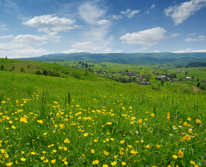 Mountain landscape summer