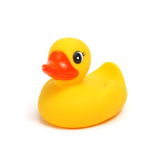 Yellow rubber duck on white