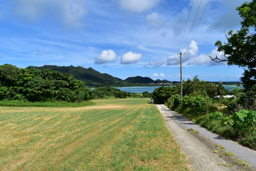 Fototapeta na wymiar Kabira Bay Ishigaki Island, Japan