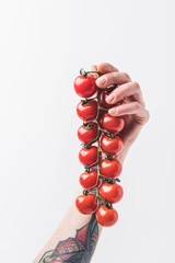 Hand holding branch of cherry tomatoes isolated on white background