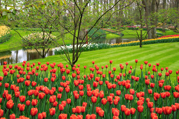 Frühling im Keukenhof in Lisse, Holland