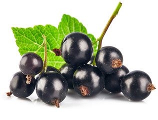 Berries black currant with green leaf. Fresh fruit, isolated