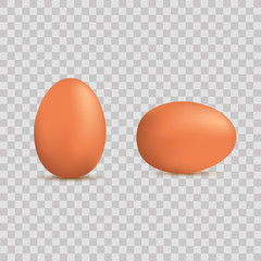 Realistic brown egg for Easter on transparent background. Vector.