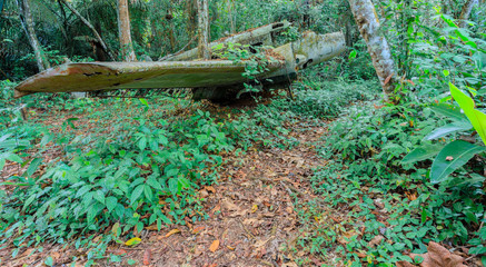 Airplane in the jungle of Surinam