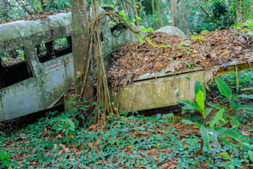 Airplane in the jungle of Surinam