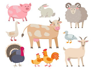Farm animals vector flat collection isolated on white background. Set of animals includes cow, pig, goat, sheep, turkey, rabbit, duck, hen, rooster and goose in cartoon design.