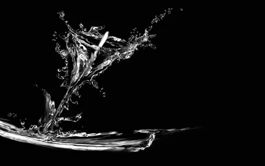 Foto auf Acrylglas Wasserlilien Black Water Calla Lily