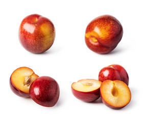 plum fruit