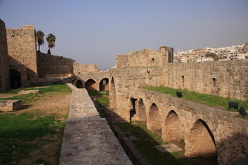 le chateau des croisés à Tripoli
