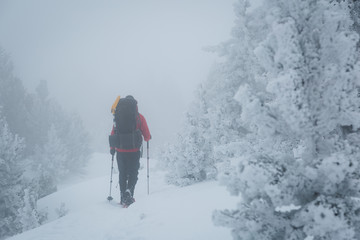 Man snowhoeing with a backpack in the foggy forest.