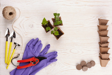 Gardening tools and seedlings.