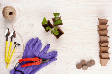 Gardening tools and seedlings.