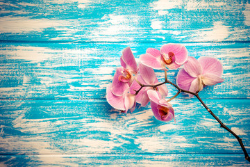 Branch of a purple orchid lies on a blue wooden background  - obrazy, fototapety, plakaty