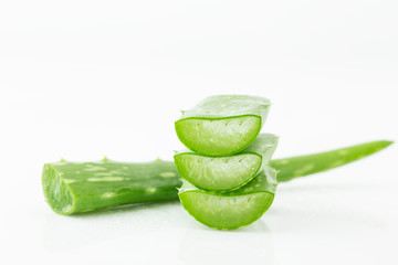 Aloe Vera On a white background