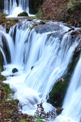 Obraz premium 幅の広い滝